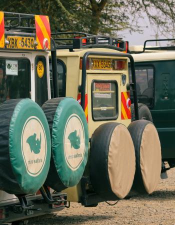 Tours and Travel Gallery